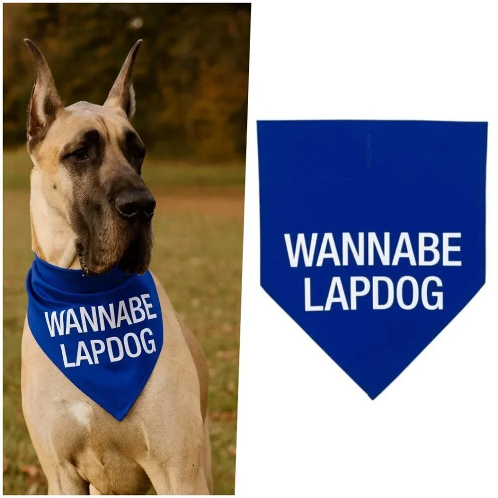 Nordstrom Cute Puppy Dog Bandana Blue Wannabe Lap Dog Gifts
